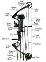 compound-bow-for-beginners